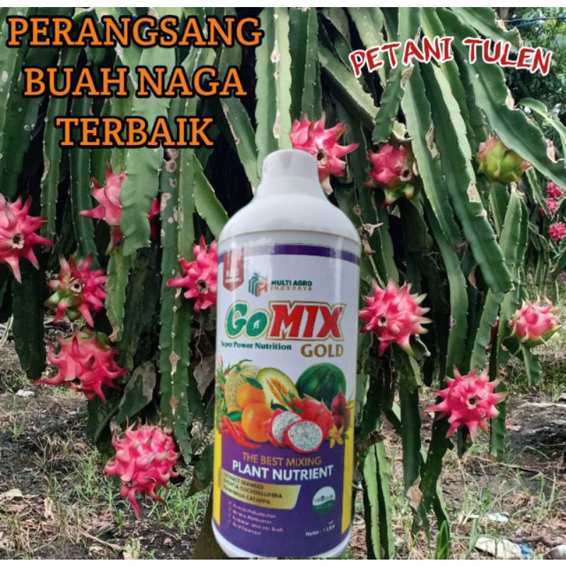 Jual Pupuk Pelebat Bunga Buah Naga Gomix Gold Perangsang Bunga Buah