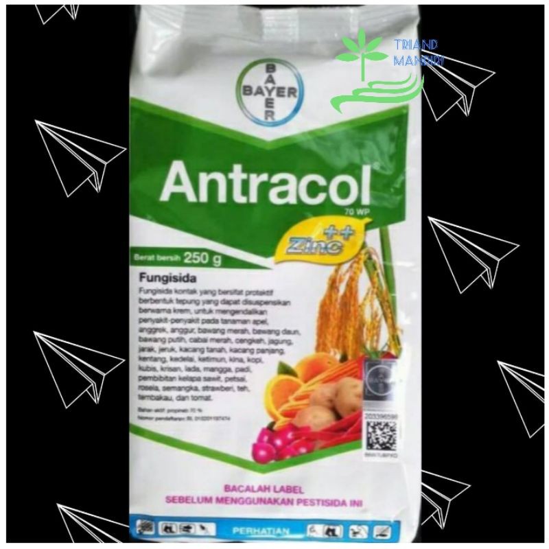 Jual Fungisida ANTRACOL 70 WP ZINC 250 Gram Shopee Indonesia