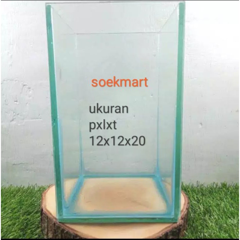 Jual Aquarium Soliter Ikan Cupan Ukuran Soliter Jumbo Akuarium