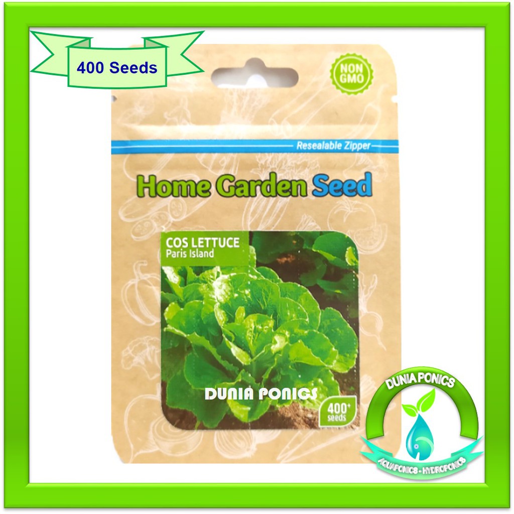 Jual Benih Selada Hijau Green COS LETTUCE Romaine Paris Home Garden