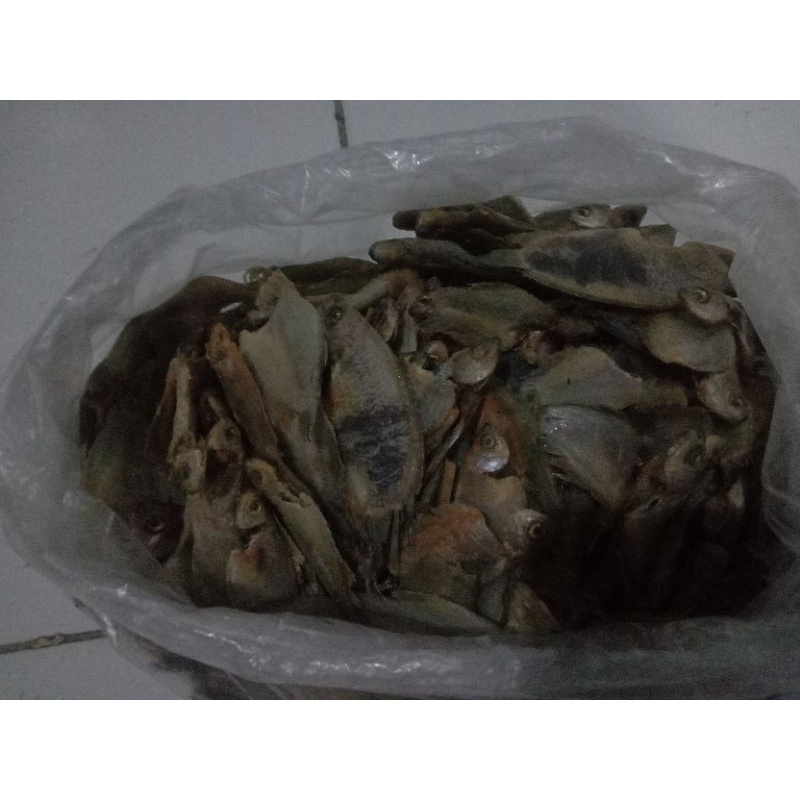 Jual IKAN ASIN SEPAT KECIL RAWA Shopee Indonesia