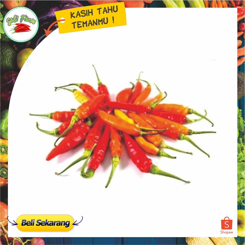 Jual Cabe Rawit Merah 500 Gr Cabe Segar Murah Cabai Segar Shopee