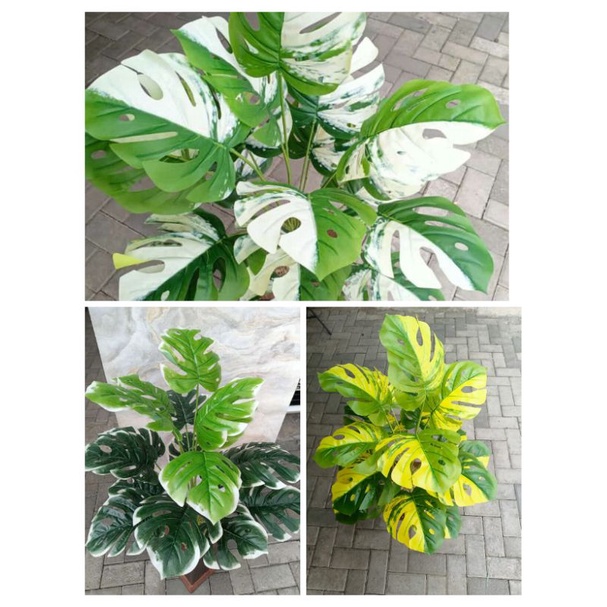 Jual Daun Monstera Artificial Cabang Monstera Monstera Variegata