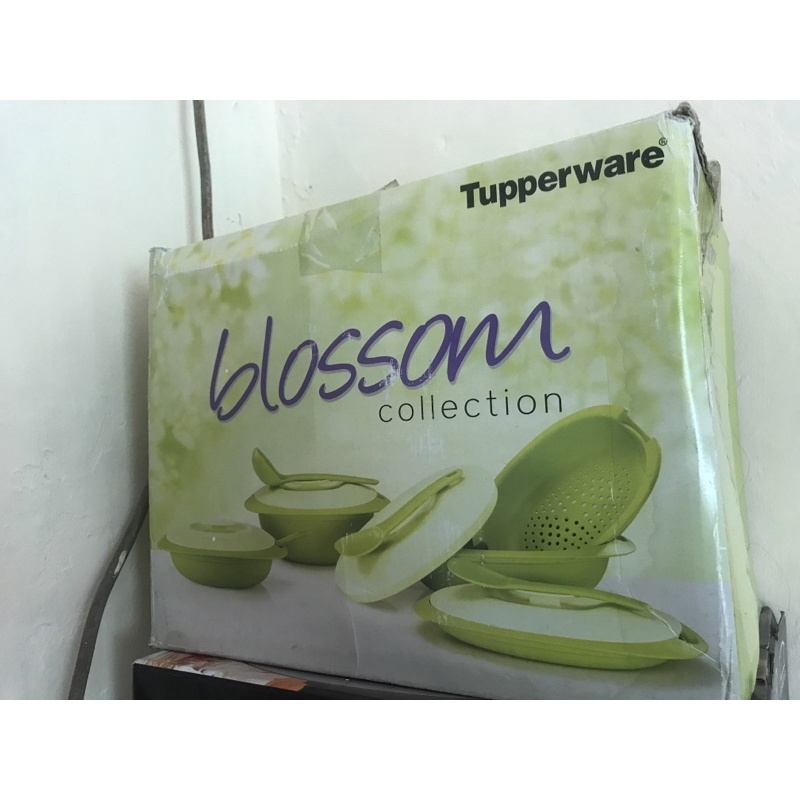 Jual Tupperware Blossom Collection Shopee Indonesia