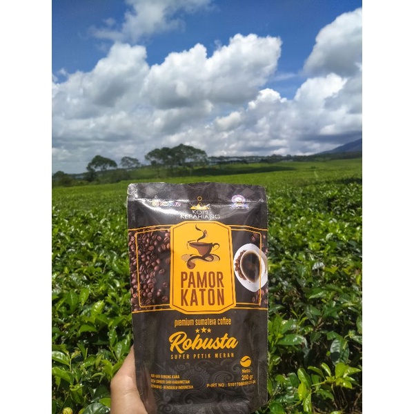 Jual Kopi Robusta Bengkulu Sumatera Pamor Katon Kopi Robusta Kepahiang