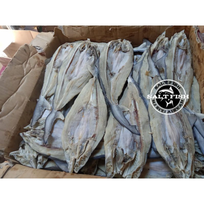 Jual Ikan Asin Cucut Utuh Fresh Gram Shopee Indonesia