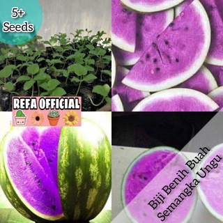 Jual REFA 5 Biji Benih Semangka Ungu Varietas F1 Import Watermelon