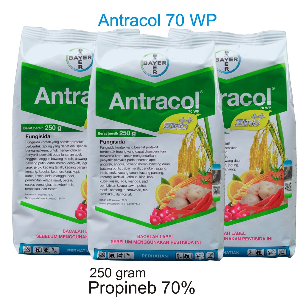 Jual Fungisida Antracol Gram Bahan Aktif Propineb Shopee