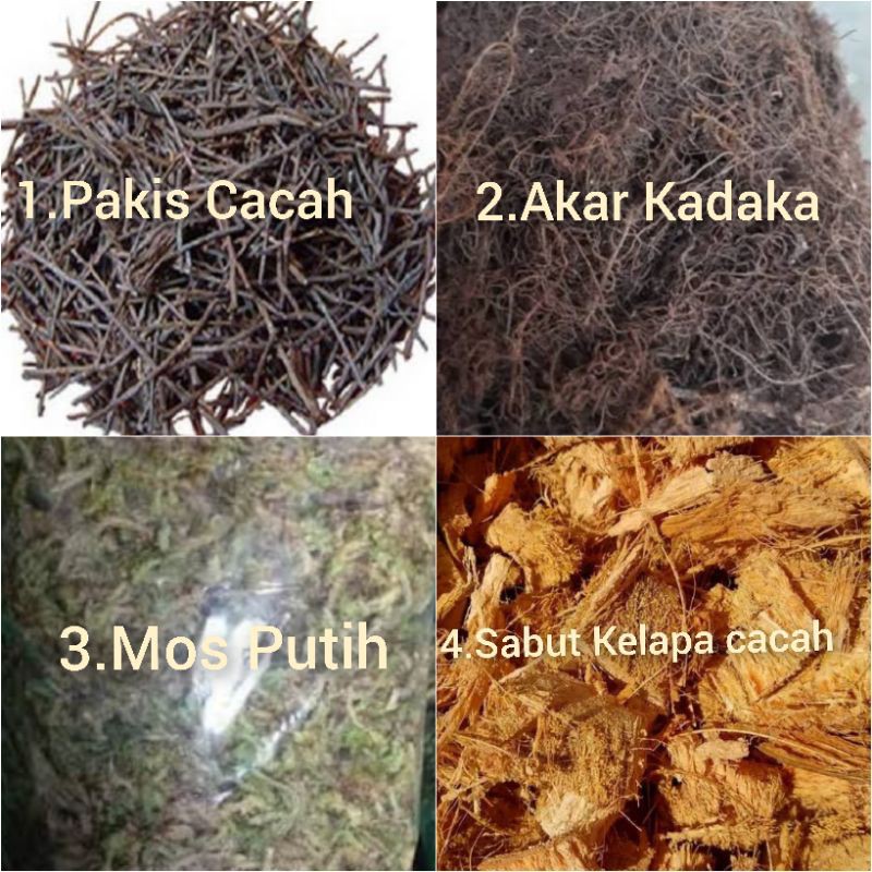 Jual JUAL 1 PAKET Media Tanam Anggrek Mos Putih Sabut Kelapa Cacah