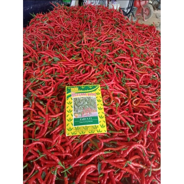 Jual Benih Bibit Cabe Cabai Keriting Merah Hibrida Farux F1 10gram