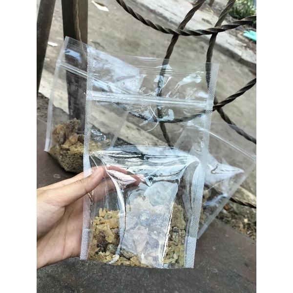 Jual Getah Kayu Gaharu Damar Atau Kemenyan Madu 100 Gram Shopee Indonesia