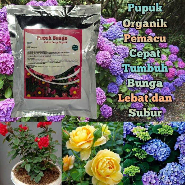 Jual Pupuk Penyubur Tanaman Hias Dan Bonsai Pupuk Pelebat Daun Dan