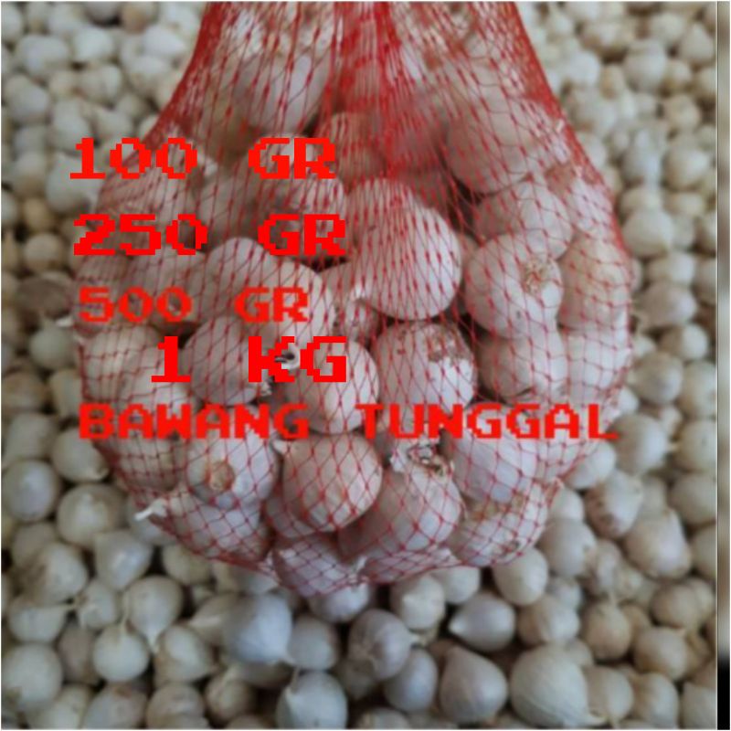 Jual Bawang Putih Tunggal Bawang Putih Lanang Tunggal 100gr Shopee