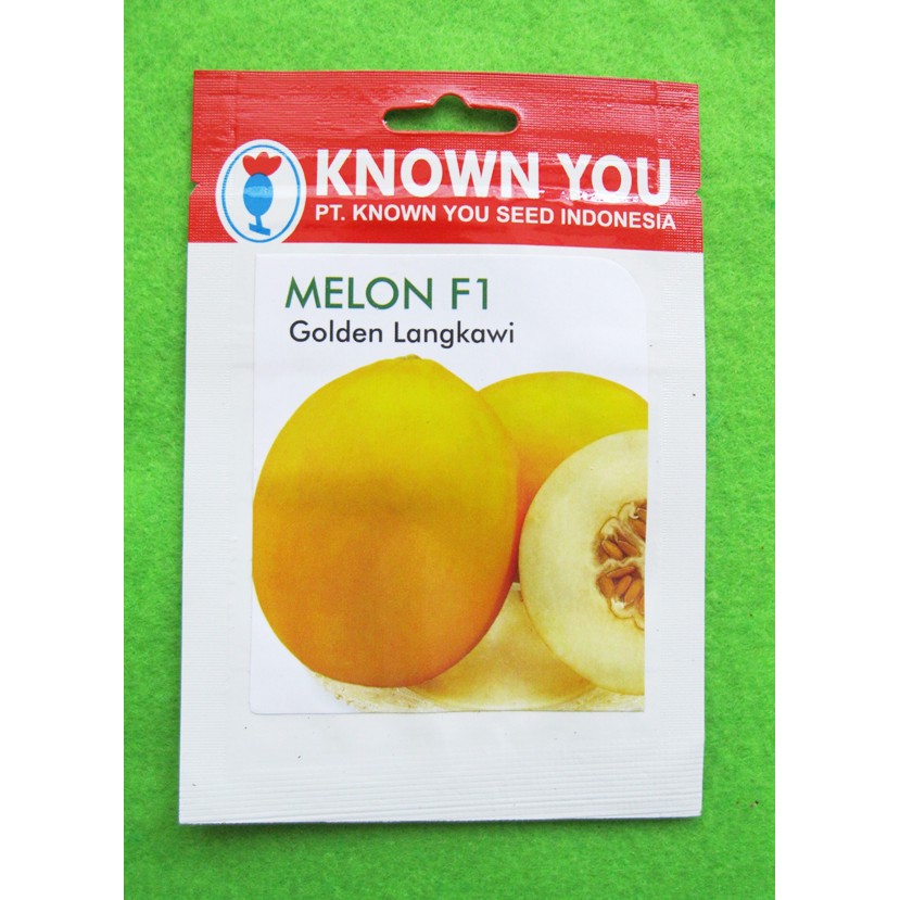 Jual Benih Biji Melon Kuning Hibrida Golden Langkawi Pack Known You