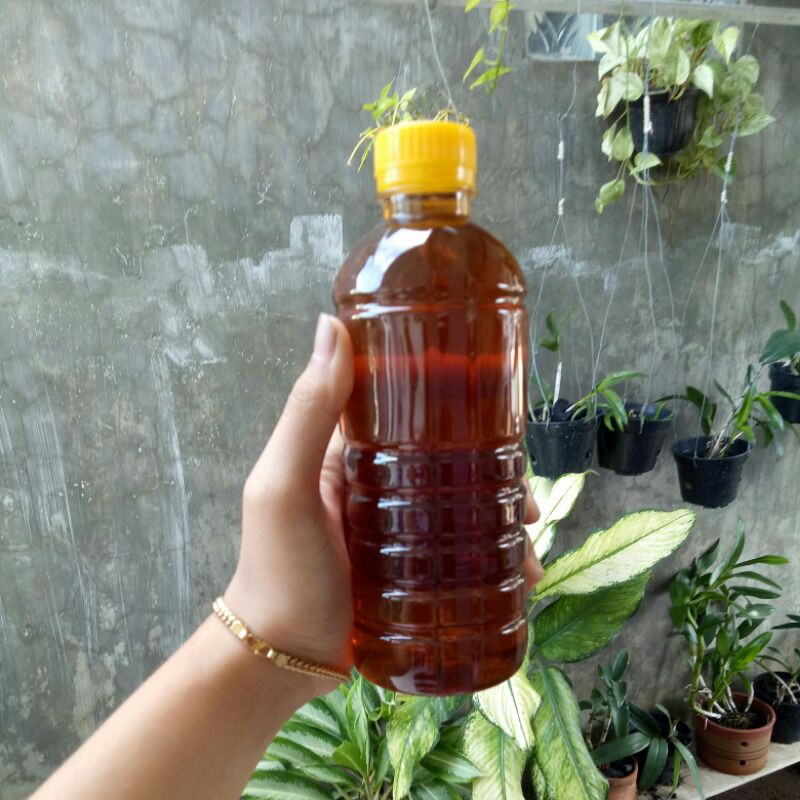 Jual Murah Sari Buah Probiotik G16 500Ml Shopee Indonesia