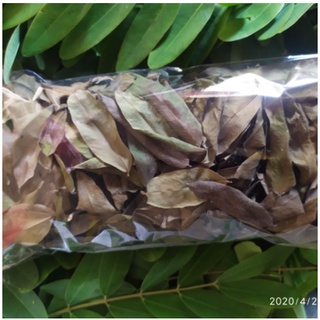 Jual Herbal Tradisional Daun Johar Kering Organik Obat Herbal Daun