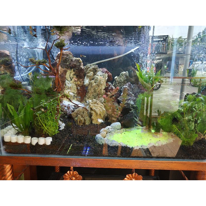 Jual Aquascape Lengkap Ukuran 60 Cm Meja Besi Lampu Lengkap Dg Full