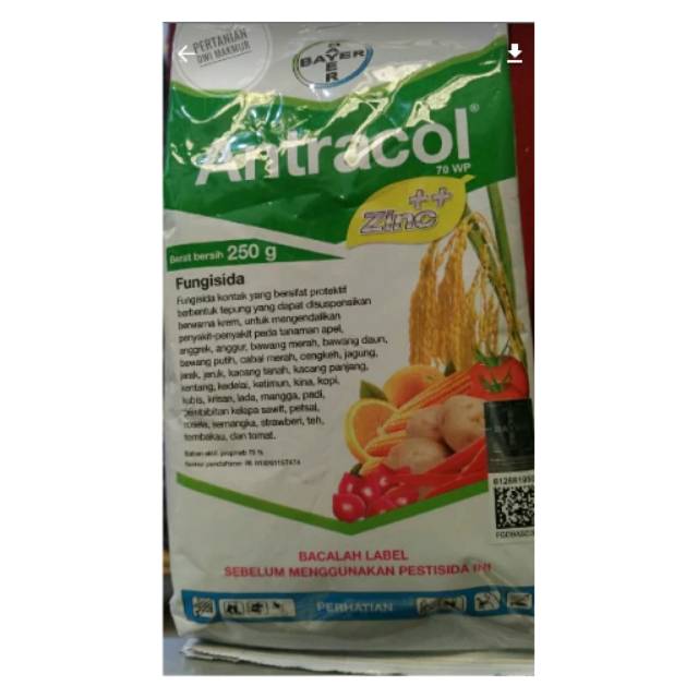 Jual Fungisida Antracol Wp Isi Gram Shopee Indonesia