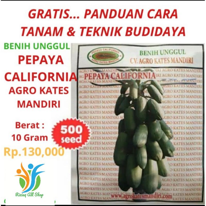 Jual Benih Bibit Pepaya California Isi 10Gram Sekitar 500 Butir Bibit