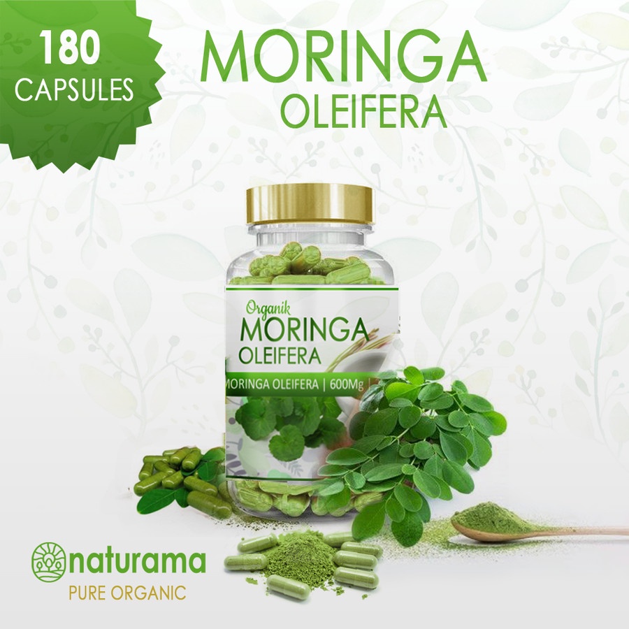 Jual Moringa Oleifera Kapsul Naturama Bubuk Daun Kelor Organik