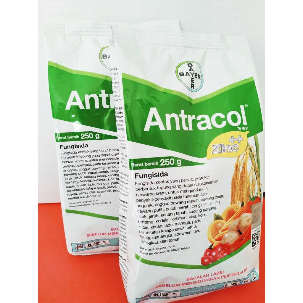 Jual Fungisida Antracol Wp Zinc Gram Shopee Indonesia