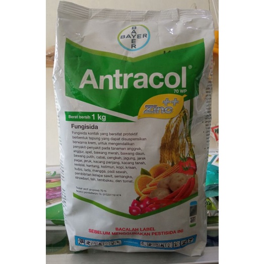 Jual Fungisida Antracol Wp Bayer Gr Gr Kg Shopee Indonesia