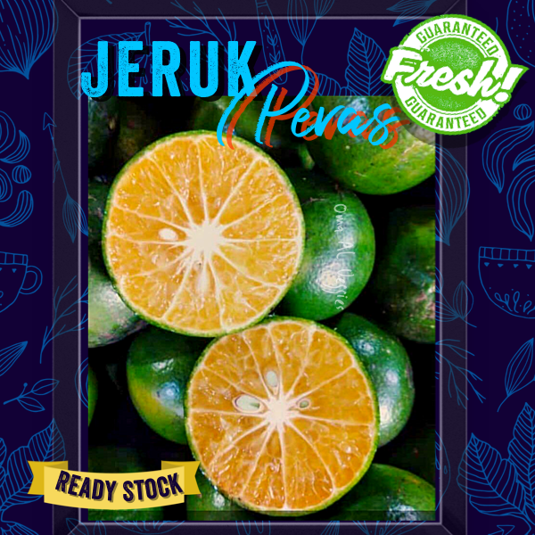 Jual Jeruk Peras Fresh Orange Per Gram Buah Segar Shopee Indonesia