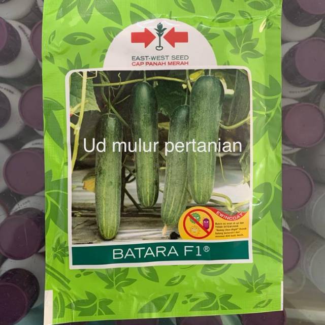 Jual Benih Biji Bibit Mentimun BATARA F1 Isi 800 Dr Panah Merah