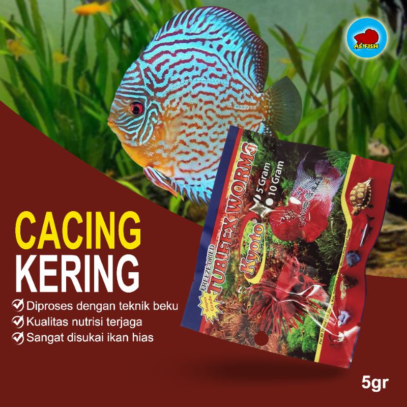 Jual Cacing Kering Tubifex Pakan Ikan Hias Discus Cupang Louhan Guppy