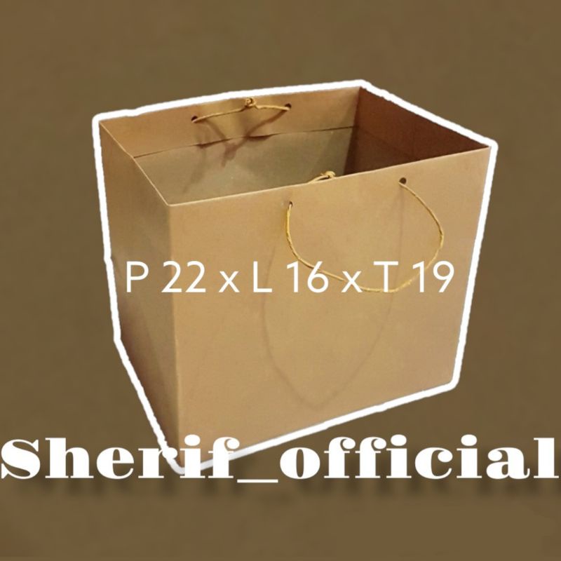 Jual Paper Bag R7 Paperbag 22x19 Kardus Box R7 P22 L16 T19 Paper Bag