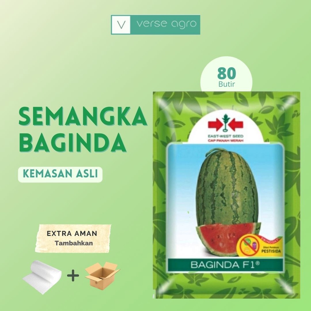 Jual Bibit Benih Semangka Lonjong BAGINDA F1 SP Sayuran Buah Hibrida