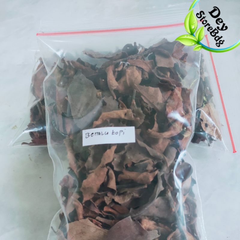 Jual Paket Grm Benalu Kopi Kering Shopee Indonesia