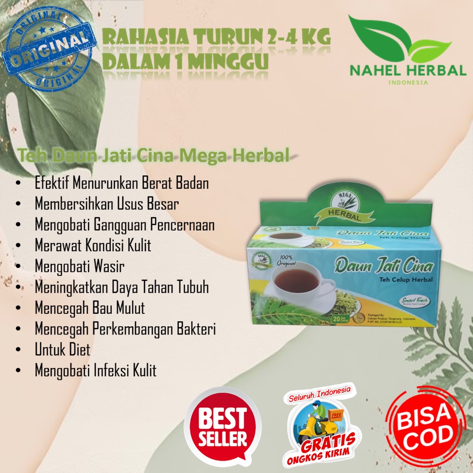 Jual Asli Teh Celup Pelangsing Daun Jati Cina Mega Original 100 Alami