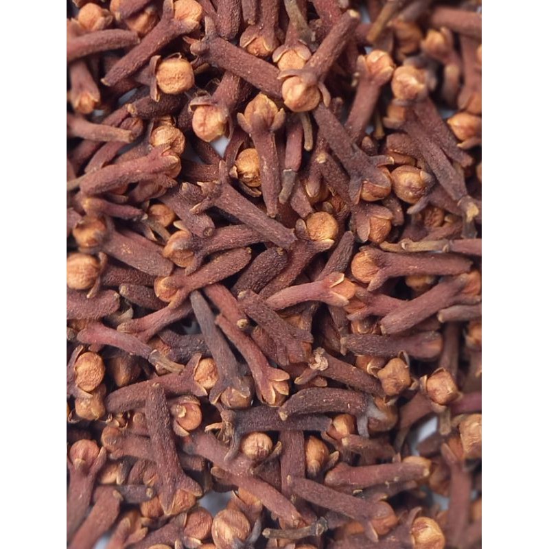 Jual Cengkeh Kering Super Cloves Grade Shopee Indonesia