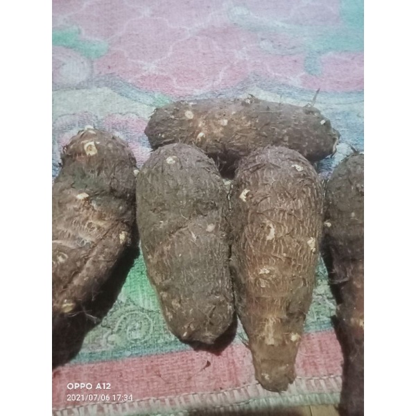 Jual Jual Umbi Talas Segar Kg Shopee Indonesia