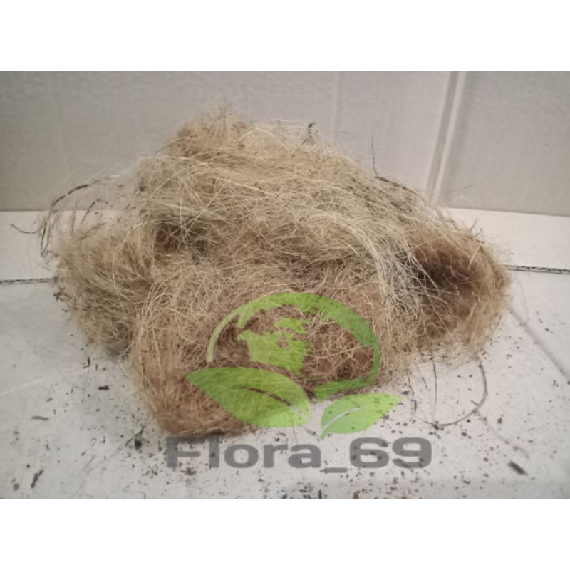 Jual Media Tanam Sabut Kelapa Cocofiber Kering Anggrek Bulan Dendrobium