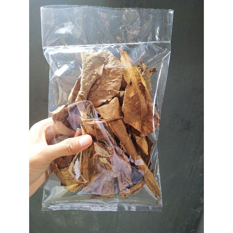 Jual IKAN CUPANG DAUN KETAPANG LAUT OLAHAN FERMENTASI KERING Shopee