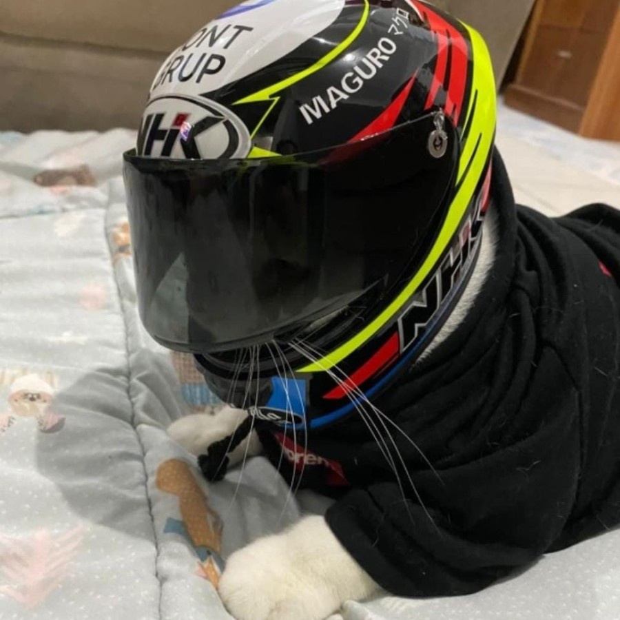 Jual Helm Kucing Anjing Monyet Peliharaan Mainan Miniatur Mini Helmet