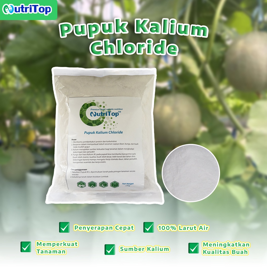 Jual Pupuk Penguat Tanaman Kalium Chloride Garam Kcl Kg Shopee