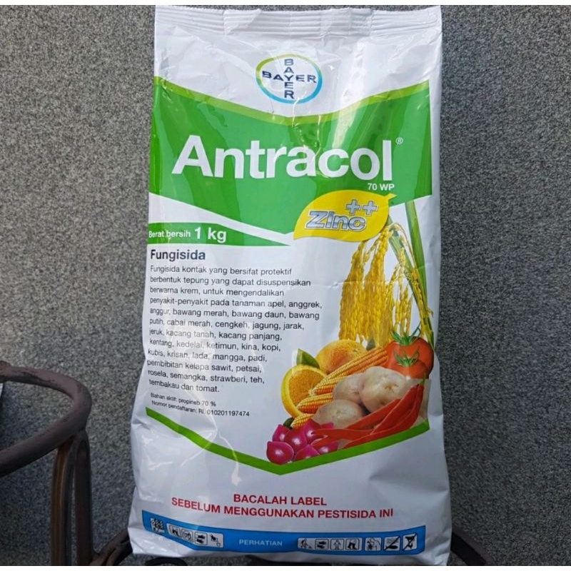 Jual Antracol Wp Kg Fungisida Indonesia Shopee Indonesia