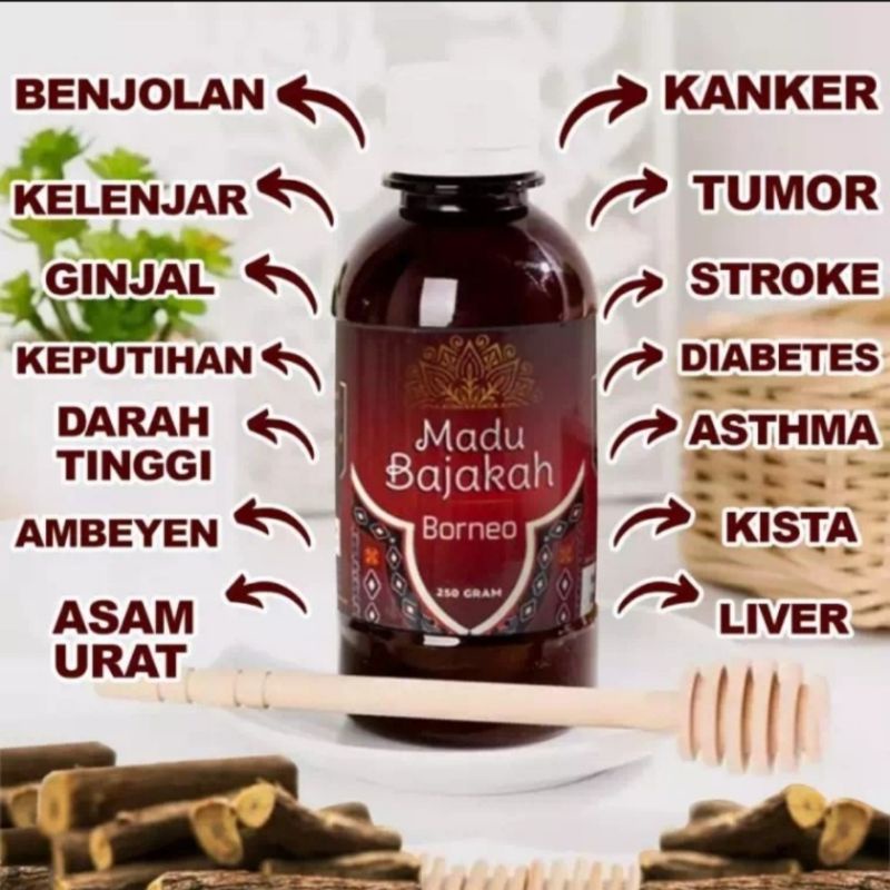 Jual MADU BAJAKAH BORNEO ORIGINAL 100 Atasi Kanker Benjolan Kista