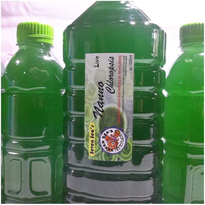 Jual Phytoplankton Nannochloropsis 1000mL Shopee Indonesia