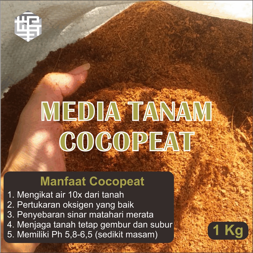 Jual Cocopeat Sudah Di Cuci Steril Media Tanam Ayakan Super Cocopit