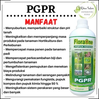 Jual Plant Growth Promoting Rhizobacterial PGPR Pupuk Organik Hayati