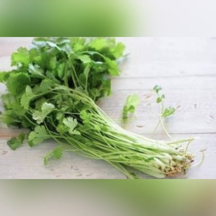 Jual Wansuy Daun Ketumbar Cilantro Pack G Shopee Indonesia