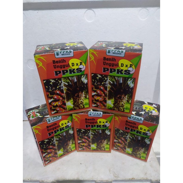 Jual Benih Kecambah Kelapa Sawit PPKS 239 Asli Medan Indonesia Shopee