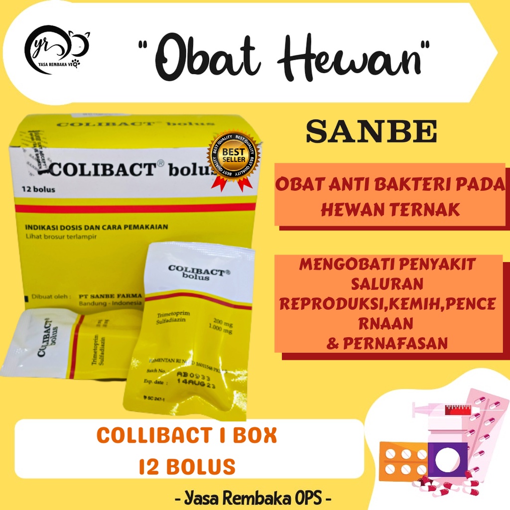 Jual Colibact Bolus Bollus Box Obat Antibiotik Hewan Untuk