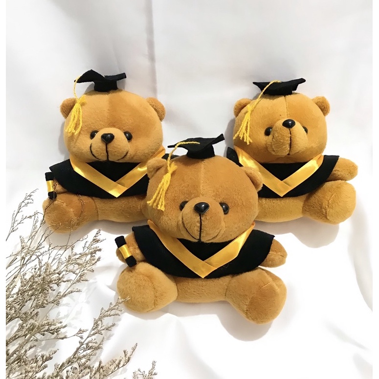 Jual Boneka Wisuda Bear Mini Boneka Beruang Boneka Bear Toga Cm