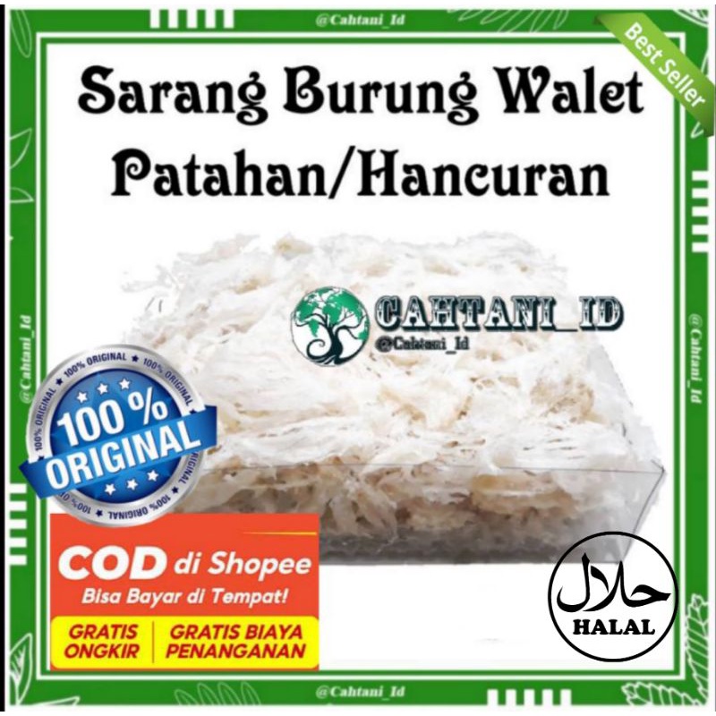 Jual SARANG ILER BURUNG WALET PATAHAN BERAIH KERING 1 Gram PREMIUM ASLI