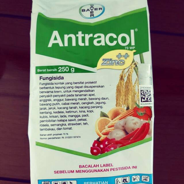 Jual Antracol 250 Gr Obat Anti Jamur Untuk Semua Tanaman Shopee